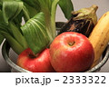 新鮮野菜 2333322