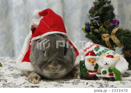 christmas 2333470