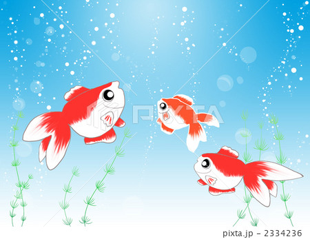 水中の金魚 2334236