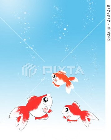 水中の金魚 2334239