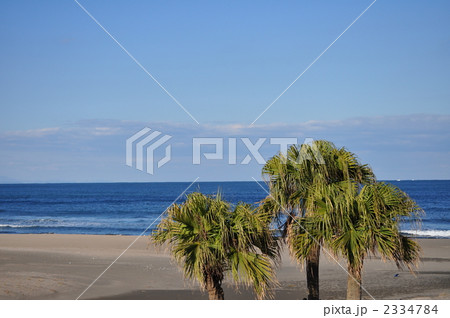 日南海岸の砂浜 2334784