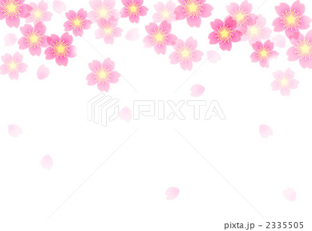 さくらボーダー柄 2335505