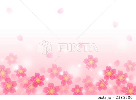 さくらボーダー柄 2335506