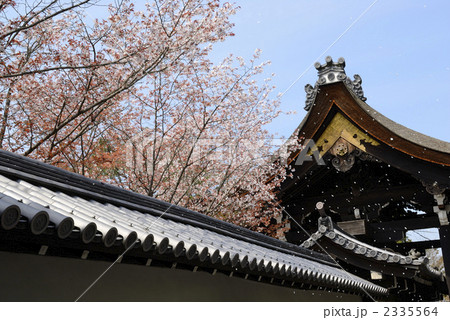 南禅寺 勅使門と桜 南禅寺 勅使門と桜 2335564