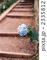 2335812