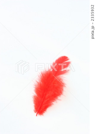 赤い羽根縦 2335932