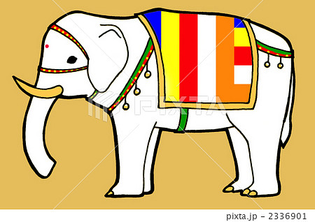 白象 象 横向きのイラスト素材