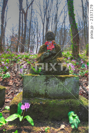 地蔵とカタクリ 2337179
