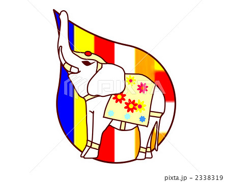 インドゾウ 2338319