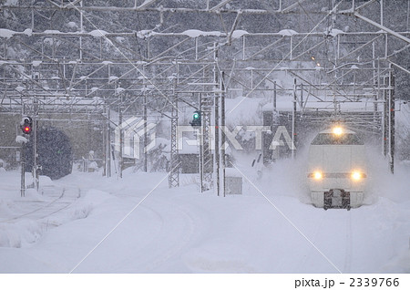 雪の中を走るサンダーバード 雪の中を走るサンダーバード 2339766