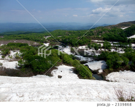 鳥海山の残雪と新緑 鳥海山の残雪と新緑 2339868