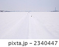 雪原 2340447