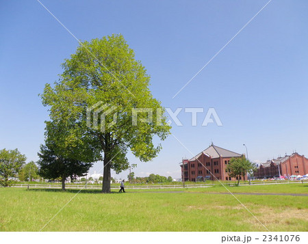 初夏の風景 初夏の風景 2341076