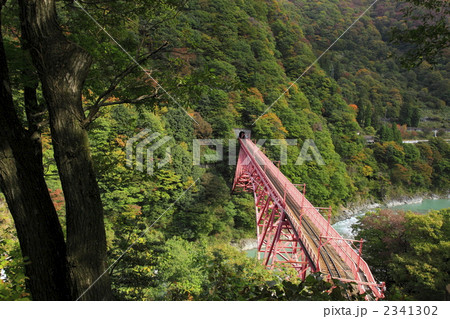 秋の宇奈月温泉 2341302