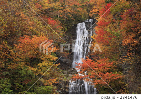 紅葉の唐沢の滝 紅葉の唐沢の滝 2341476