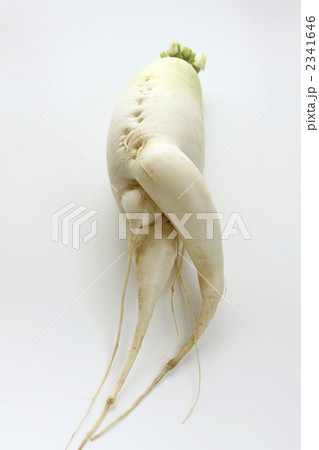 大根の変形 2341646