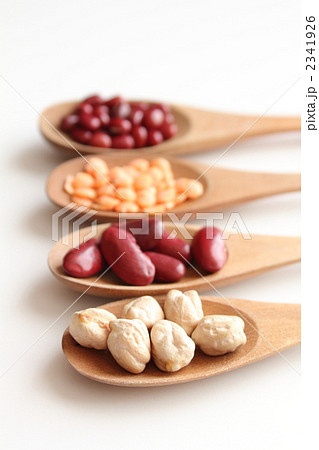 豆類 2341926
