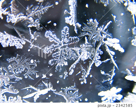 氷の結晶の写真素材