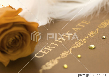 結婚証明書 2344071