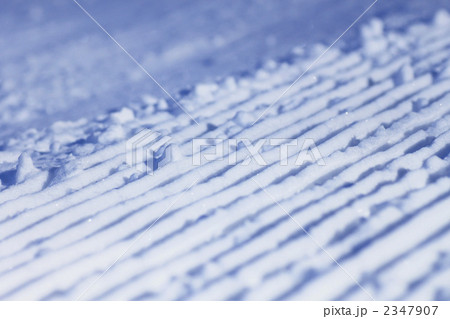 雪原の光と影 2347907