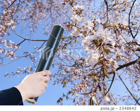 卒業証書と桜（横） 2348642