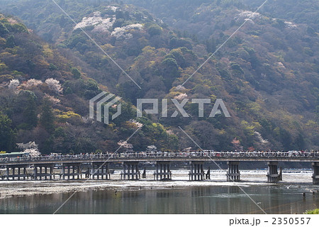 春の京都 嵐山 春の京都 嵐山 2350557