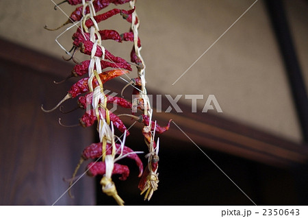 干し唐辛子 2350643