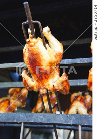 ガイヤーン 2350714