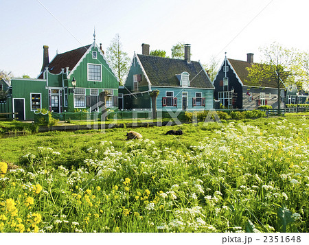 海外民家　田園　菜の花　オランダ　 2351648