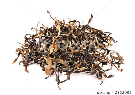 キクラゲ 2352002