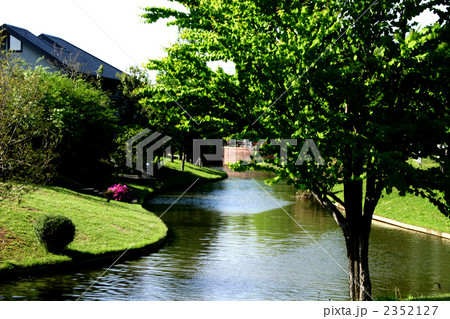 新緑の水路 2352127