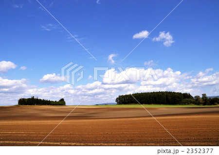 畑作地帯 畑作地帯 2352377