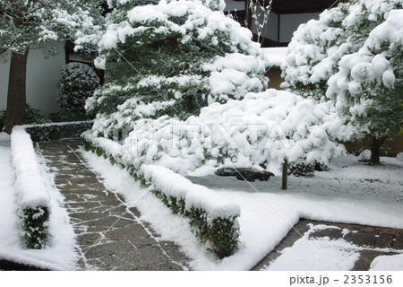 雪景色の庭 2353156