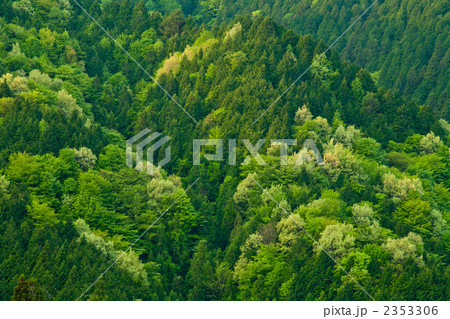 茶臼山の春 茶臼山の春 2353306