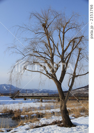 葉の落ちた柳と鉄橋を渡る長野電鉄 2353766