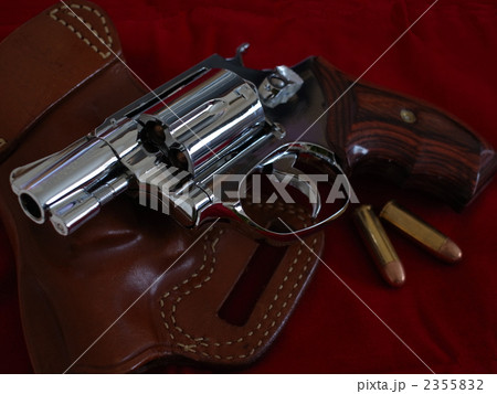 スナブノーズ 2355832