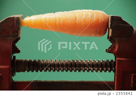 2355841
