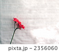 赤い花 2356060