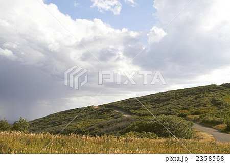 メサヴェルデ国立公園　コロラド 2358568