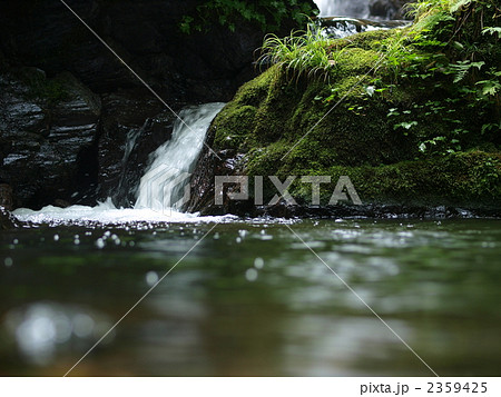 福井県名田庄村の野鹿の滝 2359425