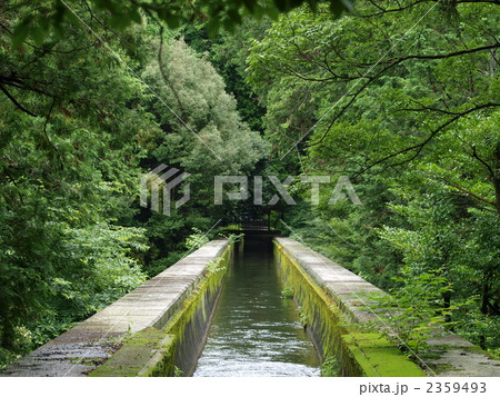 初夏の南禅寺 2359493