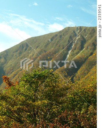 滋賀県最高峰の伊吹山 2359541