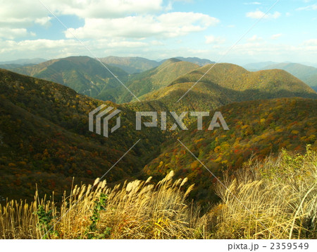 滋賀県最高峰の伊吹山 2359549