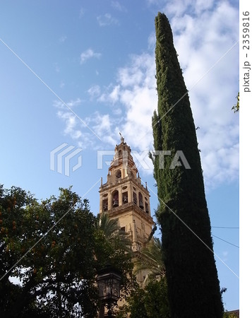 メスキータのアルミナル塔と糸杉 2359816