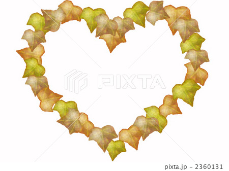 フレーム アイビー ハートのイラスト素材