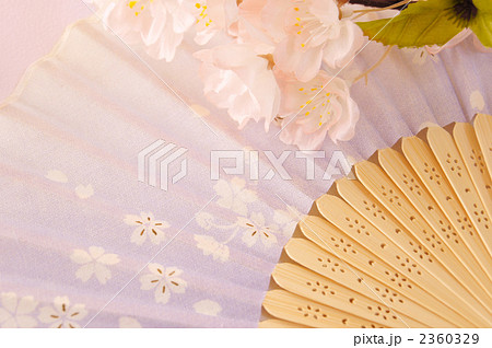 薄紫色の扇子と桜 2360329