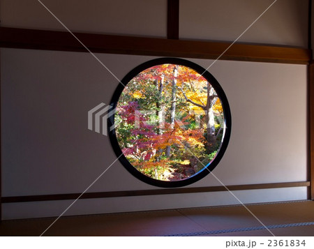 悟りの窓 2361834
