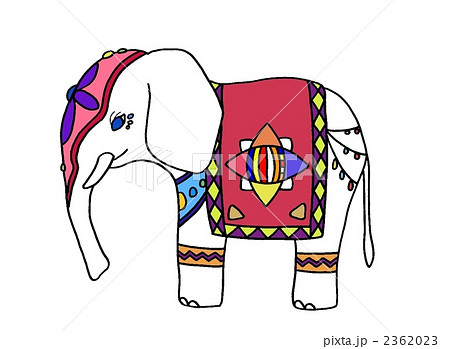 インド象 象 ゾウのイラスト素材