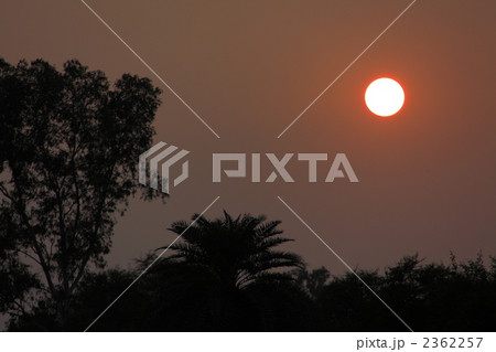 サーンチーの夕陽 サーンチーの夕陽 2362257