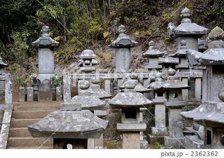 江川家のお墓 江川家のお墓 2362362